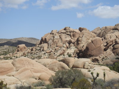 DSCN3436.JPG