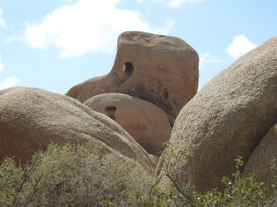 DSCN3437.JPG