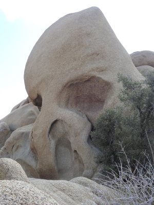 DSCN3441.JPG