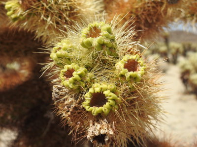 DSCN3457.JPG