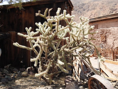 DSCN3558.JPG