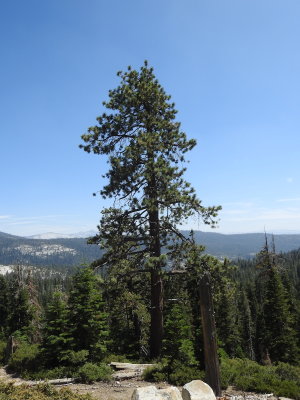 DSCN3911.JPG