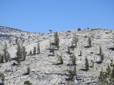 DSCN3931.JPG