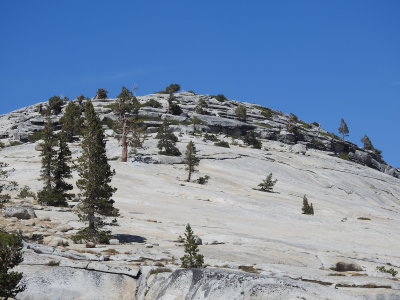 DSCN3933.JPG