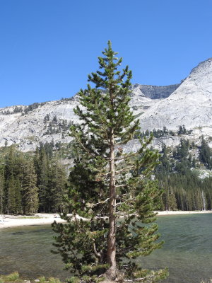 DSCN3957.JPG