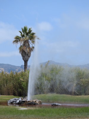 DSCN4205.JPG