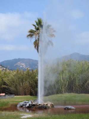 DSCN4217.JPG