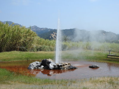 DSCN4236.JPG