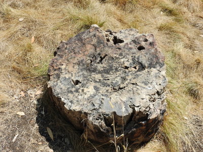 DSCN4243.JPG