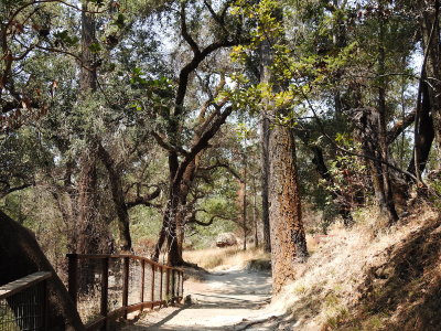 DSCN4244.JPG