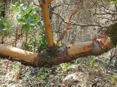 DSCN4249.JPG