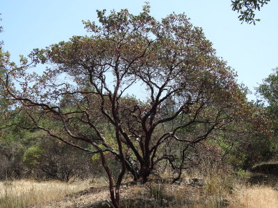 DSCN4251.JPG