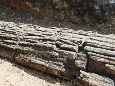 DSCN4252.JPG
