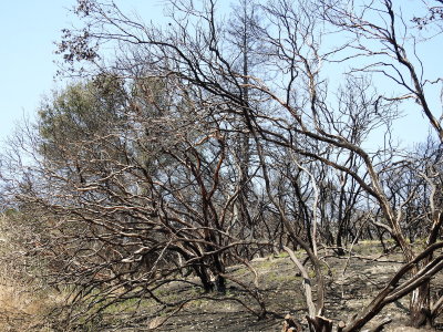 DSCN4256.JPG