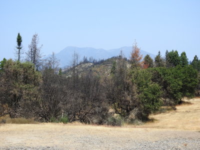 DSCN4257.JPG