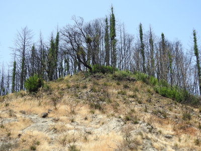 DSCN4263.JPG