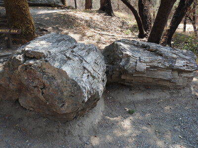 DSCN4266.JPG