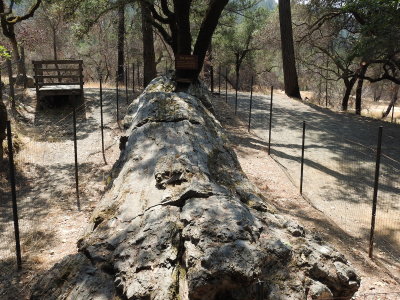 DSCN4268.JPG