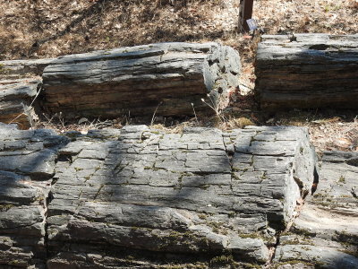 DSCN4272.JPG