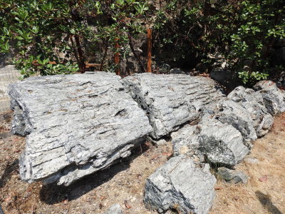 DSCN4276.JPG
