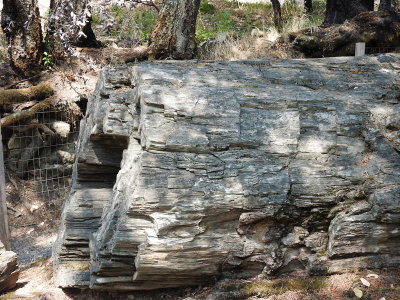 DSCN4277.JPG
