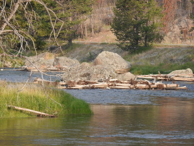 DSCN4352.JPG