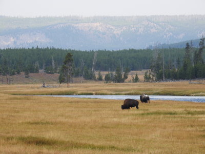 DSCN4369.JPG