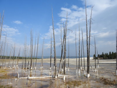 DSCN4379.JPG