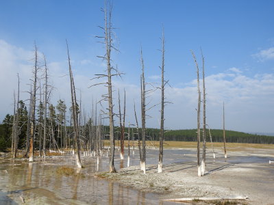 DSCN4381.JPG