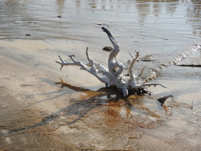 DSCN4384.JPG