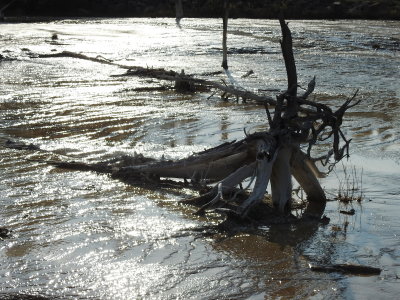 DSCN4387.JPG