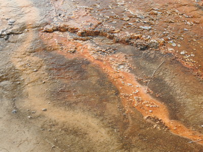 DSCN4390.JPG