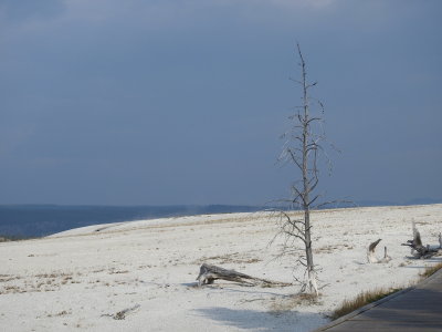 DSCN4424.JPG