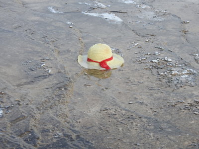 DSCN4463.JPG