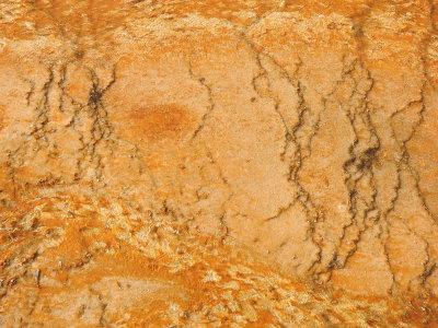 DSCN4475.JPG