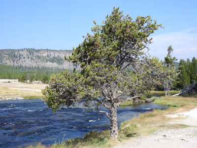 DSCN4480.JPG