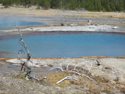 DSCN4484.JPG