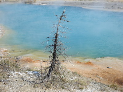 DSCN4491.JPG