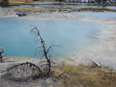 DSCN4493.JPG