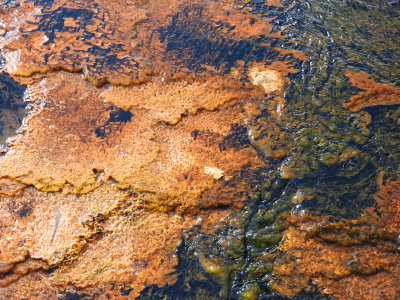 DSCN4499.JPG