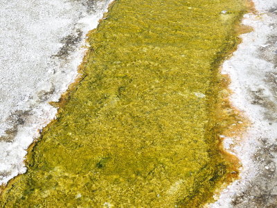 DSCN4502.JPG