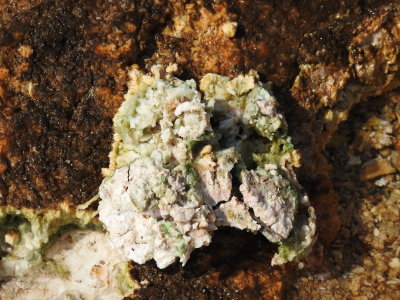 DSCN4520.JPG
