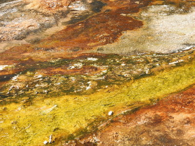 DSCN4525.JPG