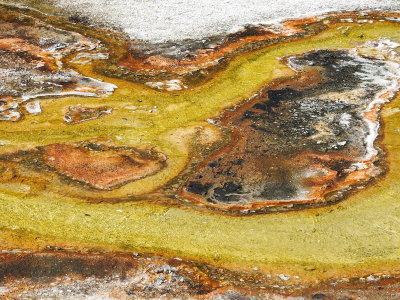 DSCN4526.JPG