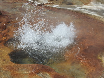 DSCN4529.JPG