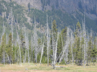 DSCN4535.JPG