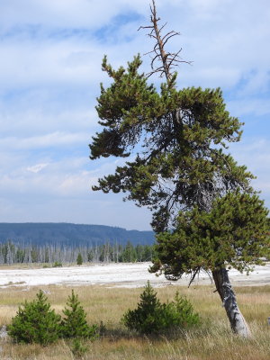 DSCN4541.JPG