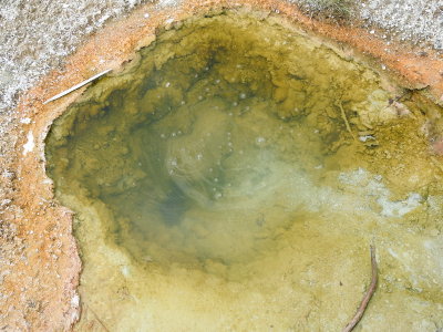 DSCN4570.JPG