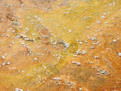 DSCN4584.JPG