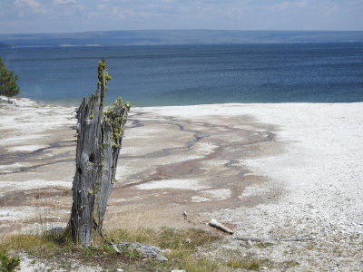 DSCN4585.JPG